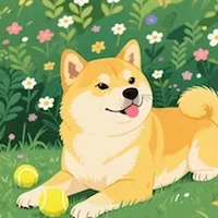 Dog playing with tennis balls